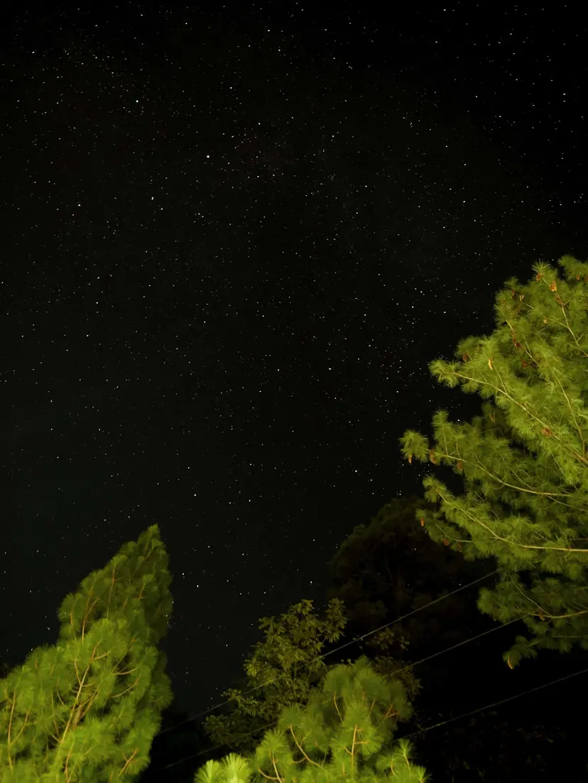 Starry Nights